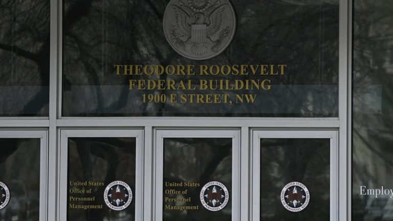 Judge restricts DOGE access to federal databases, finding ‘breach of law and trust’